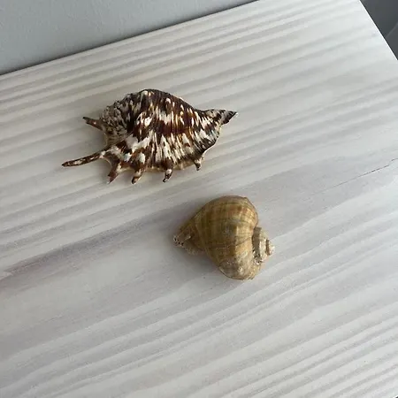 Cricket Appartement